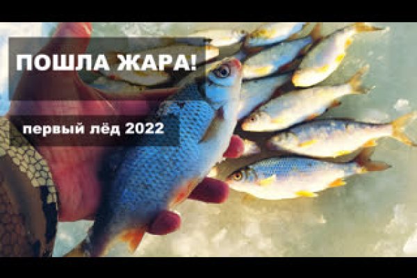 Как зайти на кракен