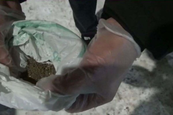 Ссылки в тор